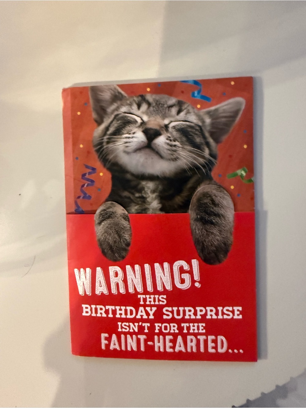 Hallmark Cat Birthday Card - Red New